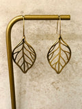 Elm Leaf Brushed Gold Earrings